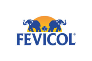 Fevicol